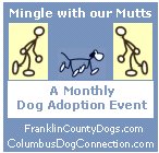 Mingle with our Mutts